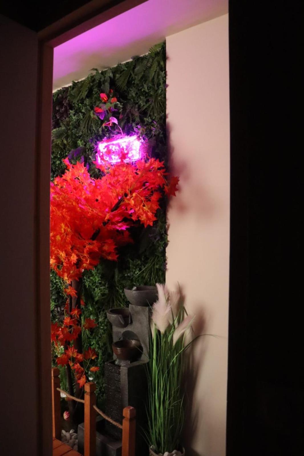Loveroom Japon Avec Balneotherapie Toulon Exteriér fotografie